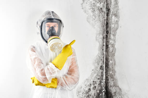 Best Residential Mold Inspection & Testing in Latham, NY