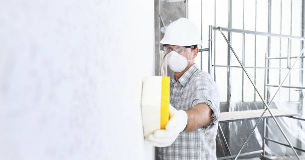 Best Post-Construction Mold Inspection in Latham, NY