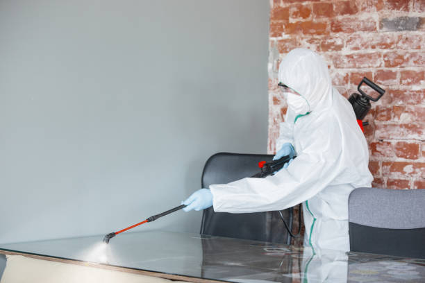 Best Industrial Mold Remediation in Latham, NY