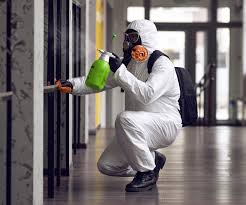 Best Mold Prevention Services in Latham, NY